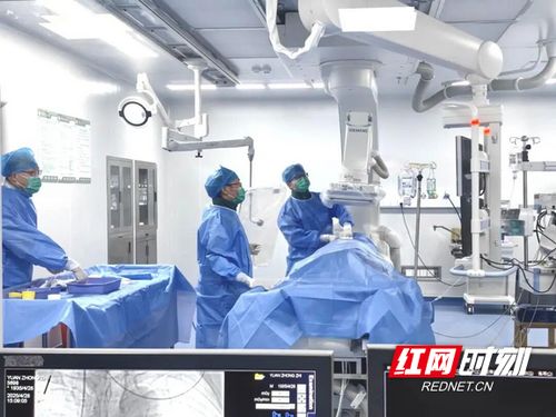汝城縣人民醫(yī)院獲評心血管疾病防治技術(shù)牽頭單位，引領(lǐng)區(qū)域健康服務(wù)新篇章
